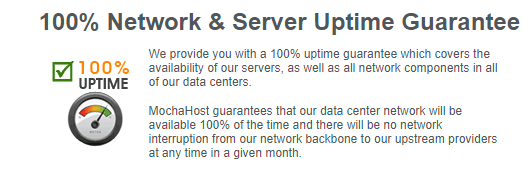 Mochahost uptime guarantees