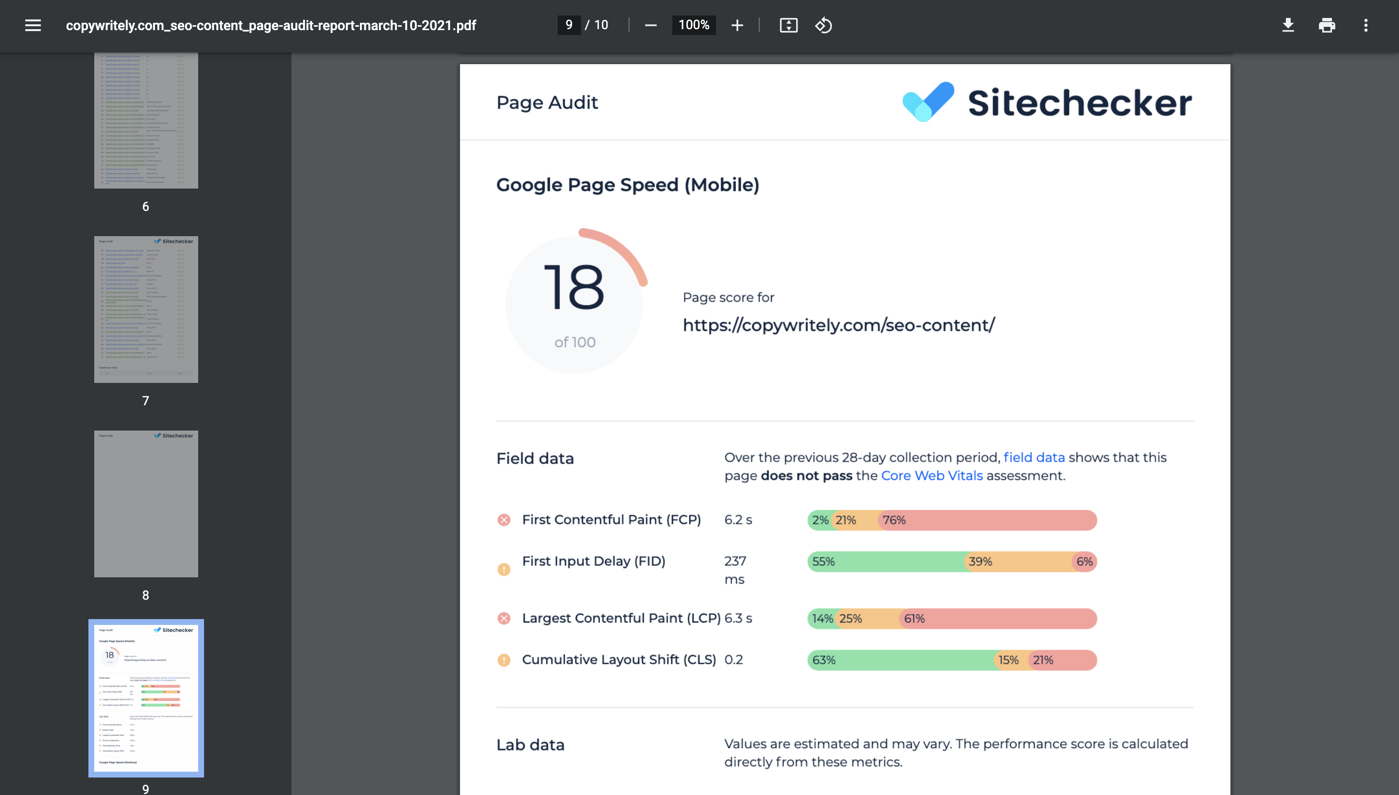 page audit pdf report