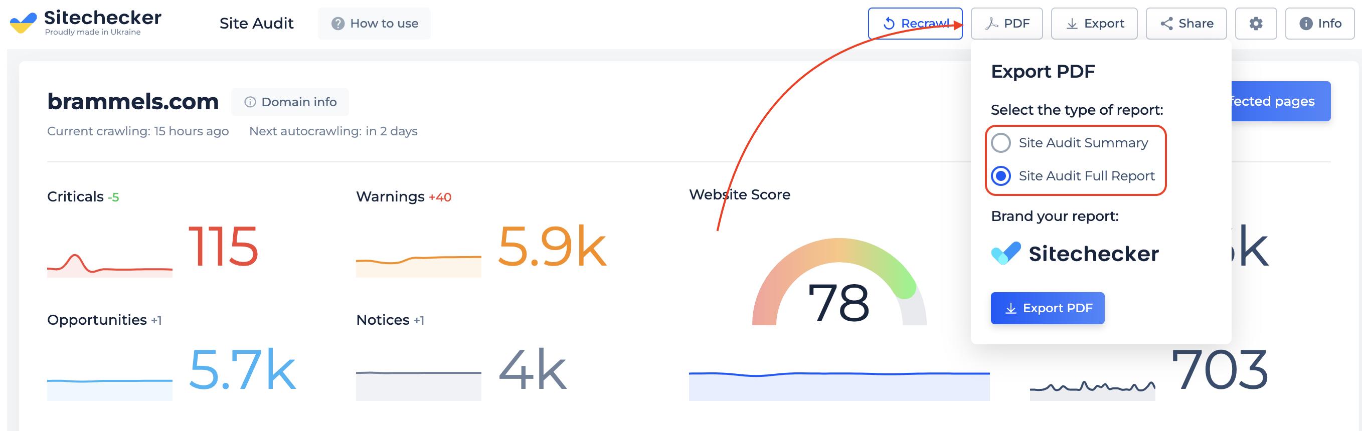 Site Audit Export