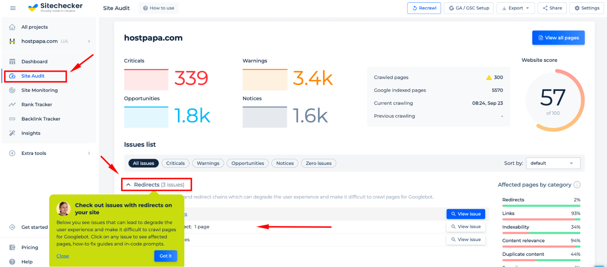 Site Audit Redirects