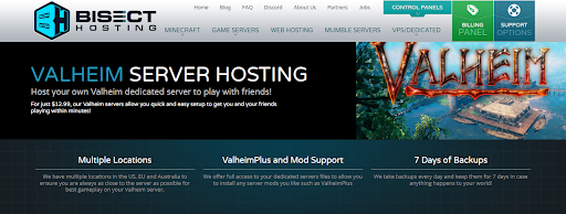 Valheim server renting via Bisecthosting